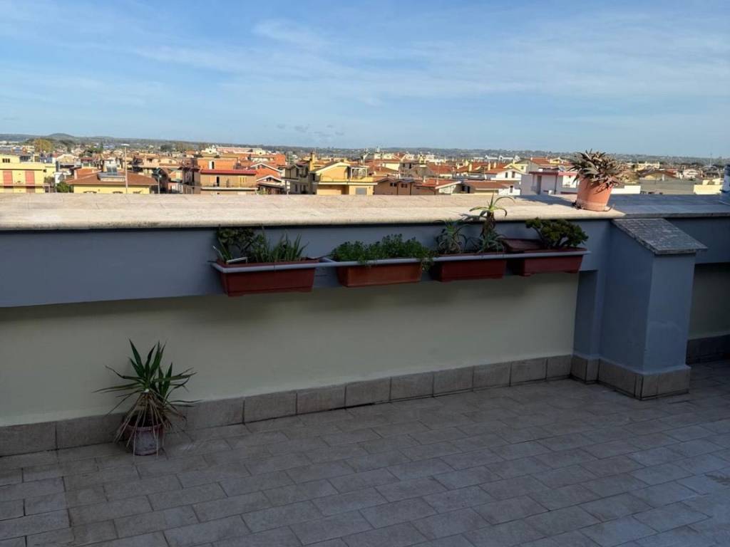 appartamento in affitto a Ladispoli