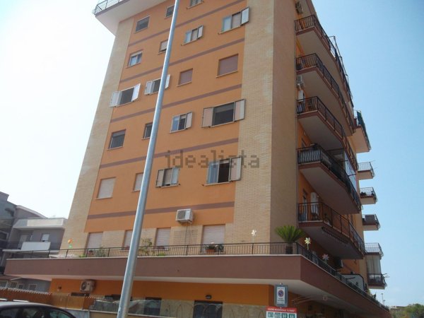 appartamento in affitto a Ladispoli