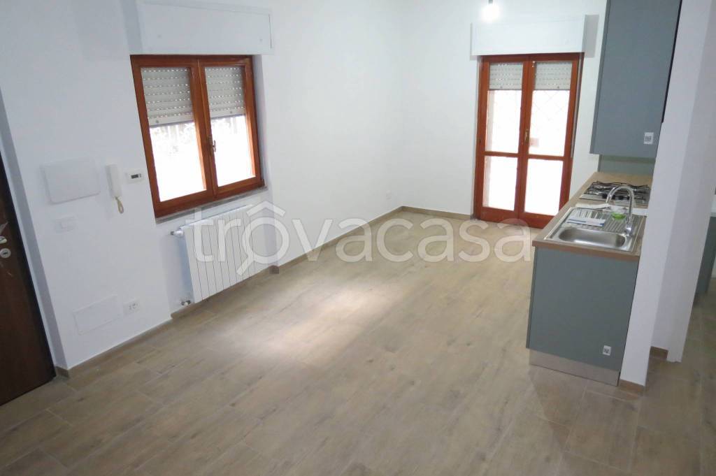 appartamento in affitto a Ladispoli