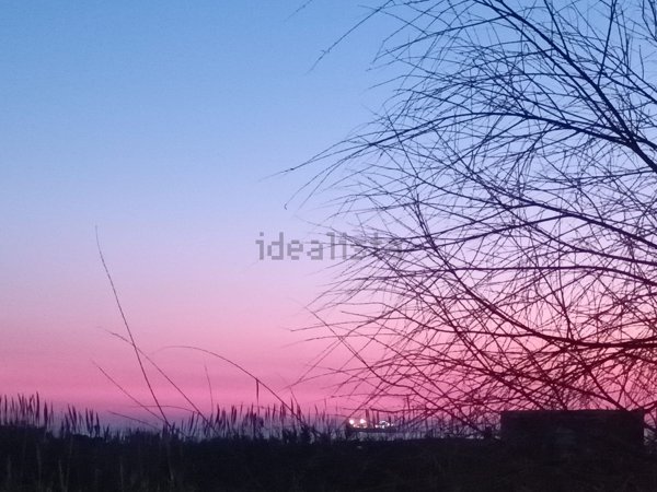 appartamento in affitto ad Ardea