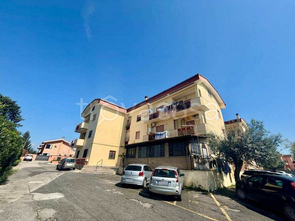 appartamento in affitto ad Ardea
