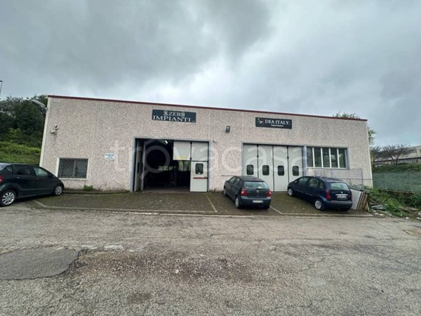 appartamento in affitto ad Ardea in zona Castagnetta