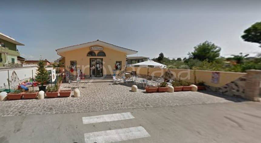 immagine annuncio 0 di 15