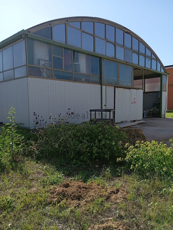 capannone in affitto ad Ardea in zona Nuova Florida