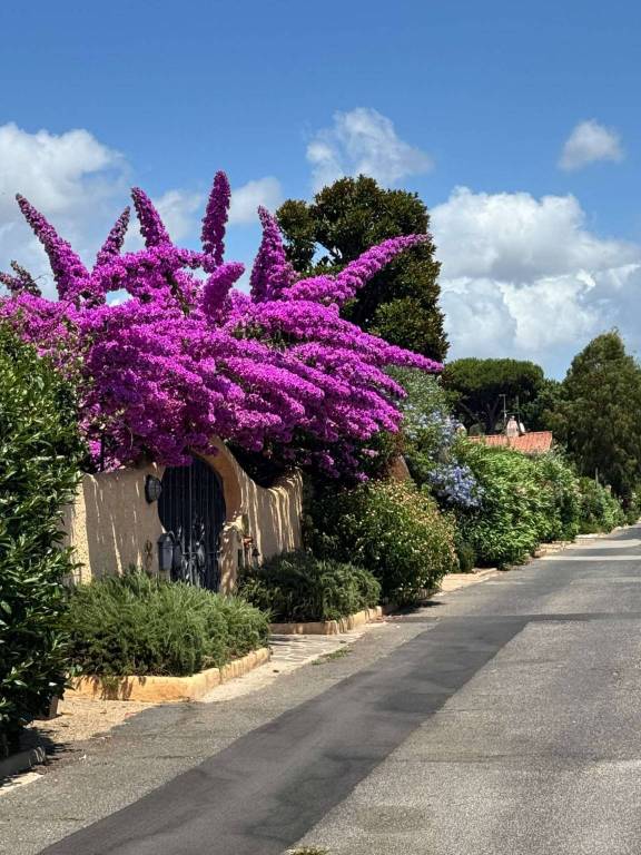 casa indipendente in affitto ad Ardea in zona Colle Romito