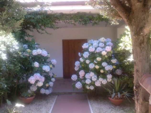 casa indipendente in affitto ad Ardea