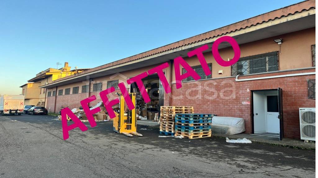 locale commerciale in affitto a Ciampino