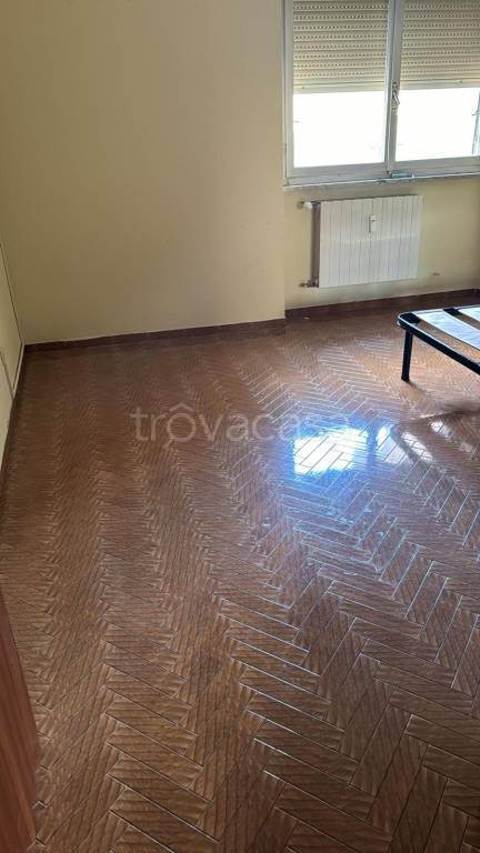 appartamento in affitto a Ciampino