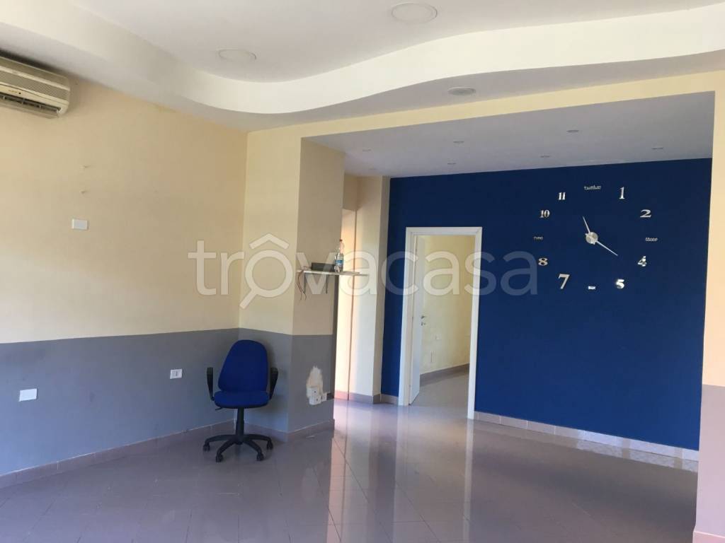 trivano in affitto a Ciampino