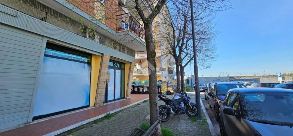 negozio in affitto a Ciampino