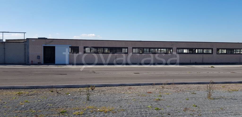 locale commerciale in affitto a Ciampino