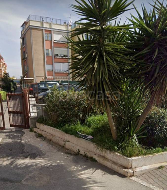 appartamento in affitto a Ciampino