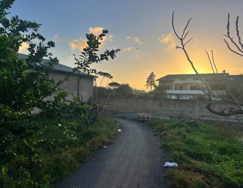 locale commerciale in affitto a Ciampino