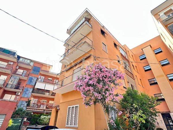 appartamento in affitto a Ciampino