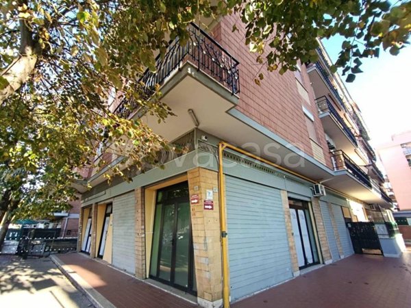 negozio in affitto a Ciampino