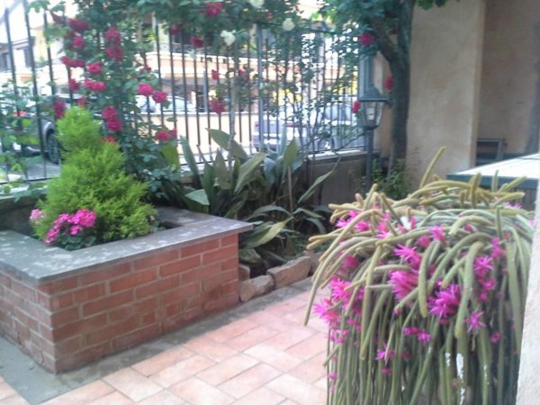 camera singola in affitto a Ciampino