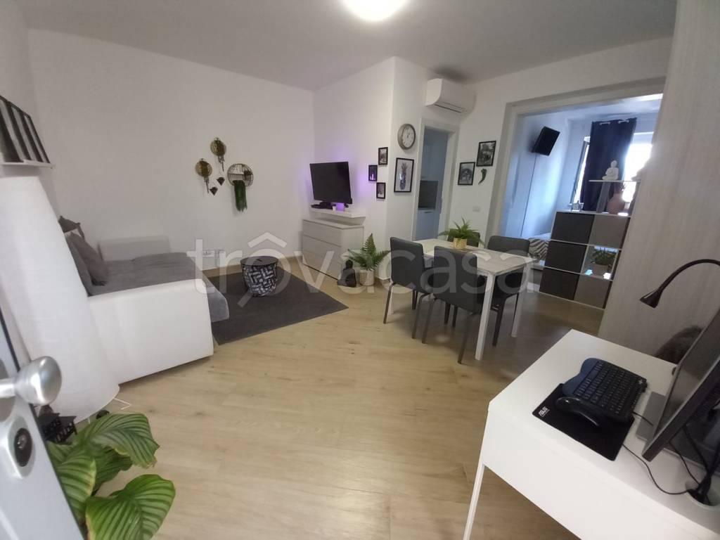 appartamento in affitto a Ciampino