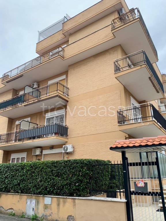 appartamento in affitto a Ciampino