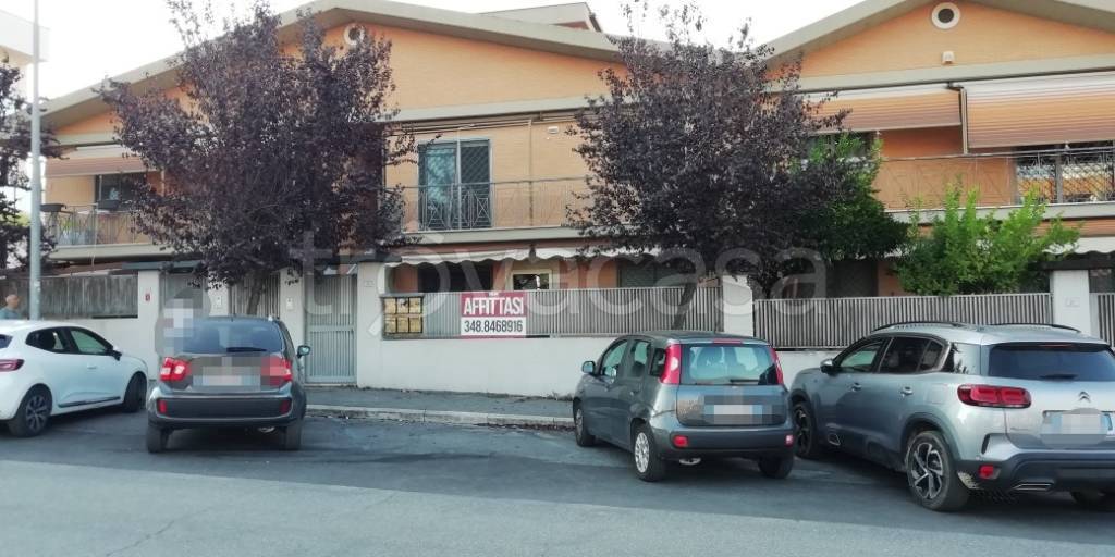appartamento in affitto a Ciampino