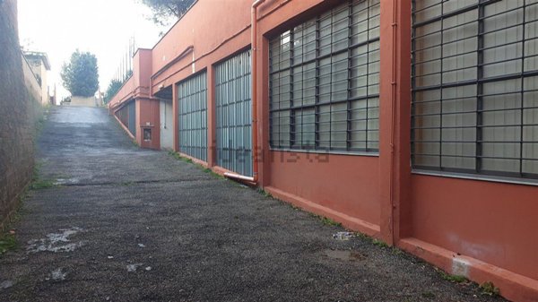 locale di sgombero in affitto a Ciampino