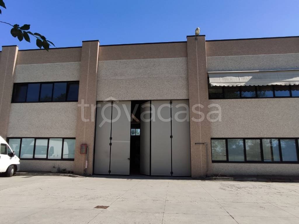 capannone in affitto a Ciampino in zona Gregna Sant'Andrea