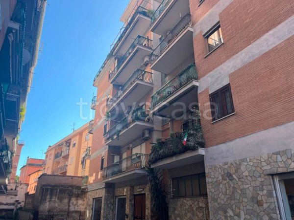 appartamento in affitto a Ciampino