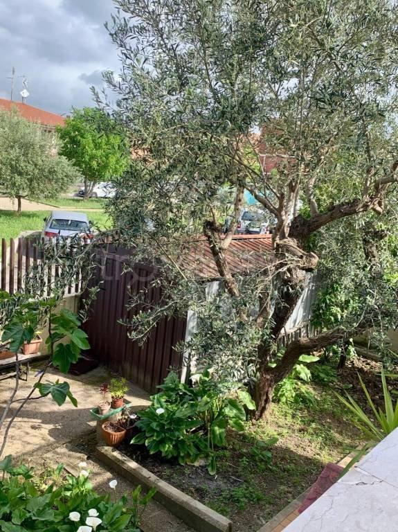 appartamento in affitto a Ciampino