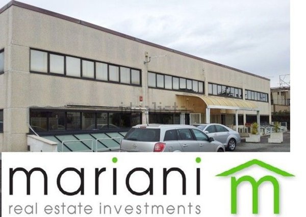 capannone in affitto a Ciampino in zona Acqua Sotterra