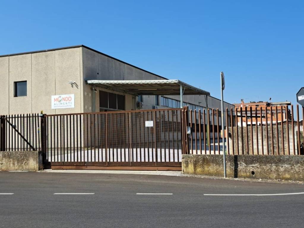 capannone in affitto a Ciampino