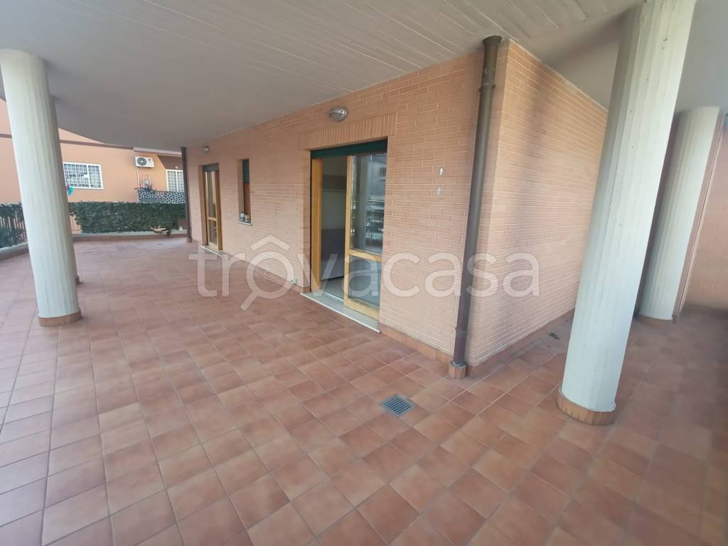 appartamento in affitto a Ciampino