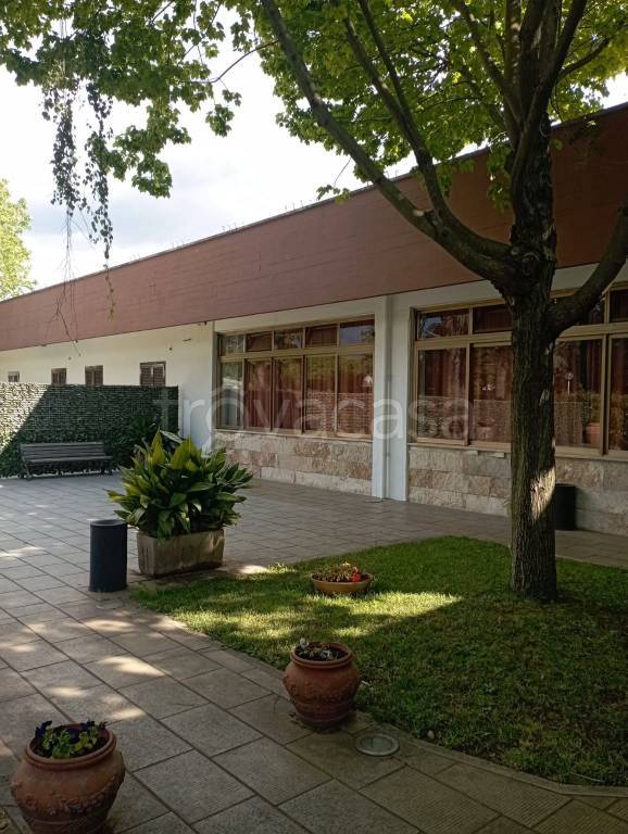 negozio in affitto a San Cesareo