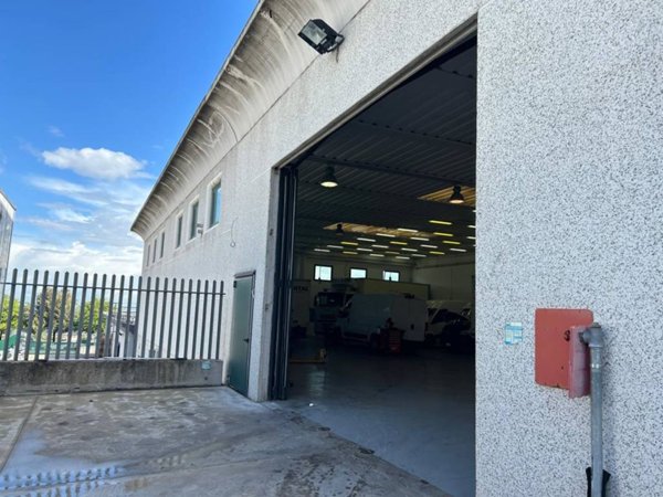 locale commerciale in affitto a San Cesareo