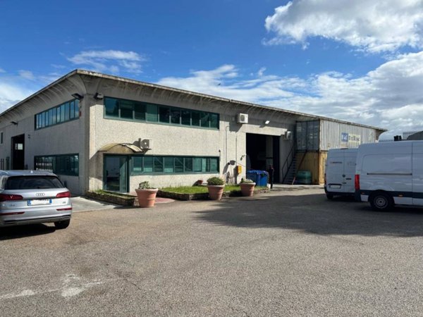locale commerciale in affitto a San Cesareo