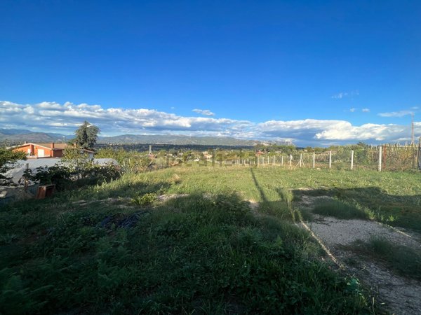 terreno agricolo in affitto a San Cesareo in zona Campo Gillaro