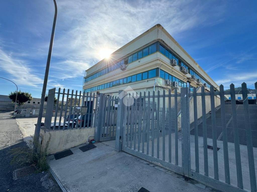 ufficio in affitto a San Cesareo