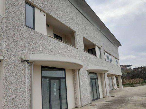 capannone in affitto a San Cesareo