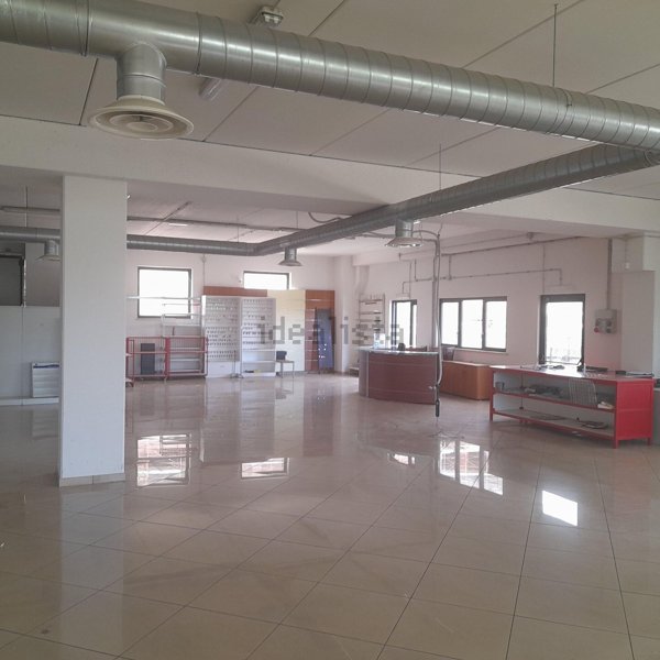 capannone in affitto a San Cesareo