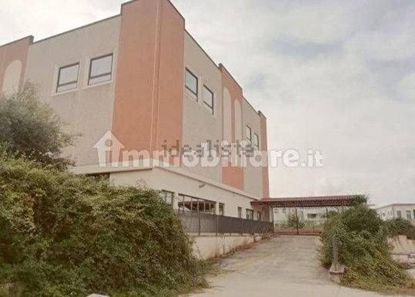 capannone in affitto a San Cesareo