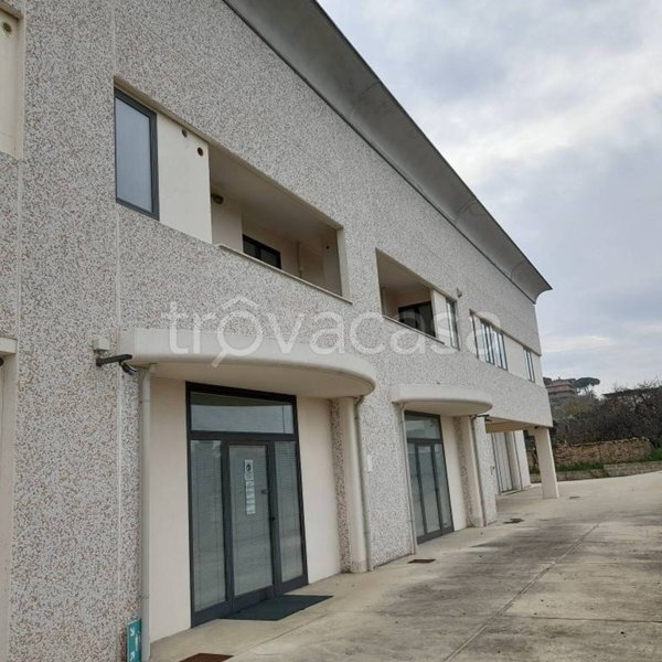 capannone in affitto a San Cesareo