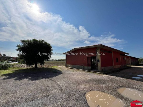 locale commerciale in affitto a Fiumicino in zona Fregene