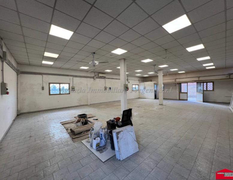 immagine annuncio 0 di 15