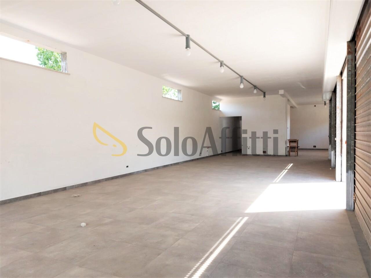 appartamento in affitto a Fiumicino