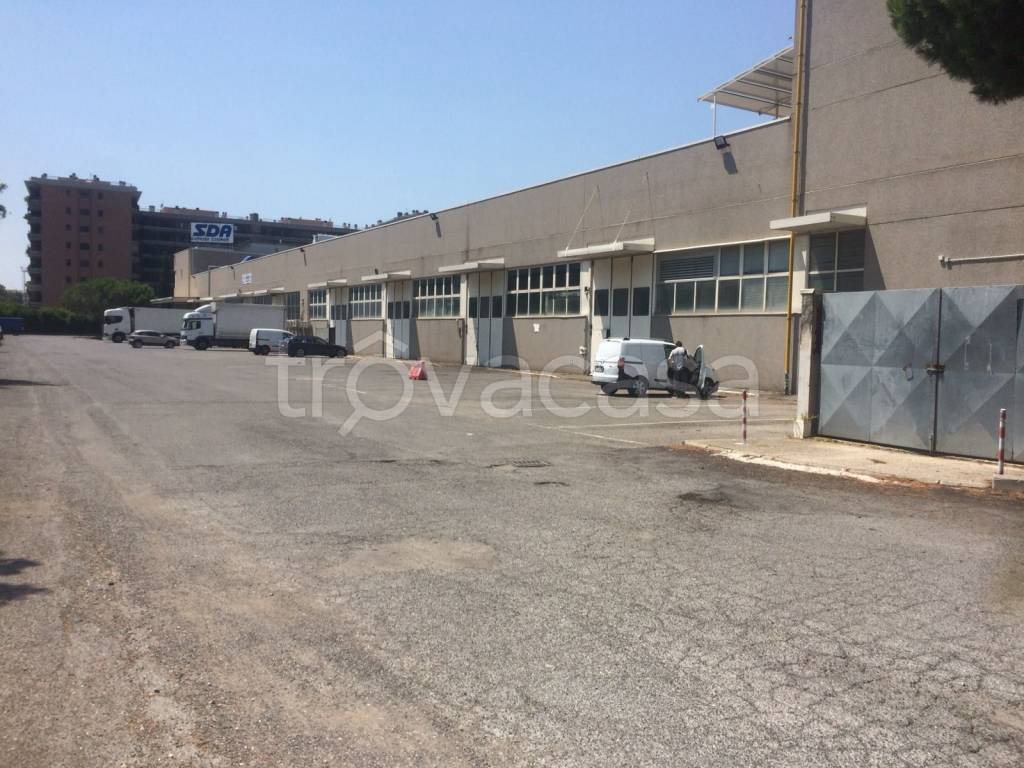 locale commerciale in affitto a Fiumicino