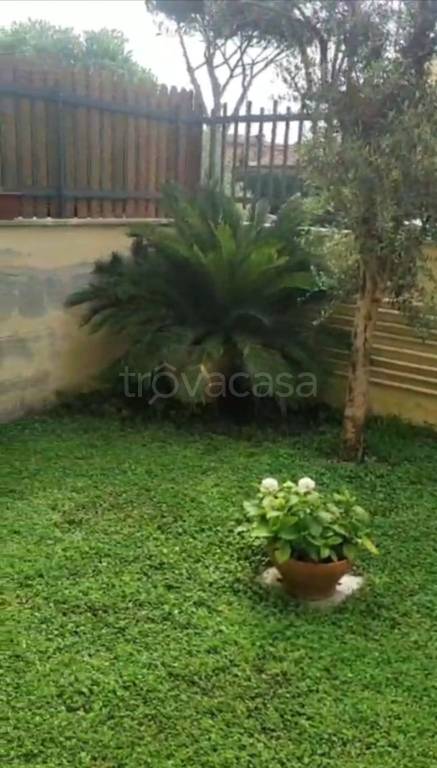 appartamento in affitto a Fiumicino in zona Fregene