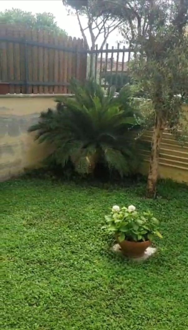 appartamento in affitto a Fiumicino in zona Fregene