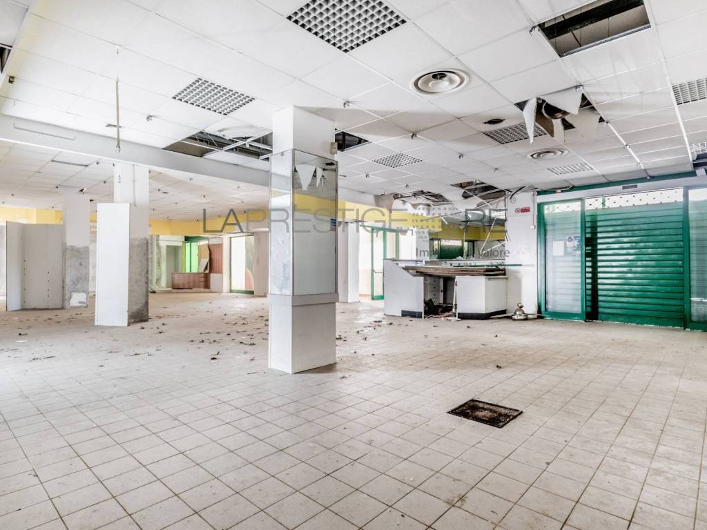 negozio in affitto a Fiumicino in zona Fregene