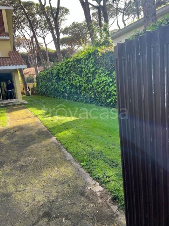 casa indipendente in affitto a Fiumicino in zona Fregene