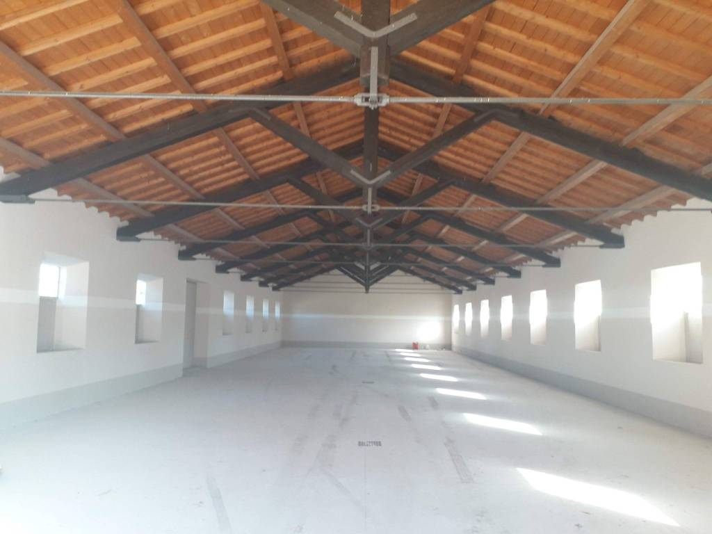 appartamento in affitto a Fiumicino in zona Maccarese