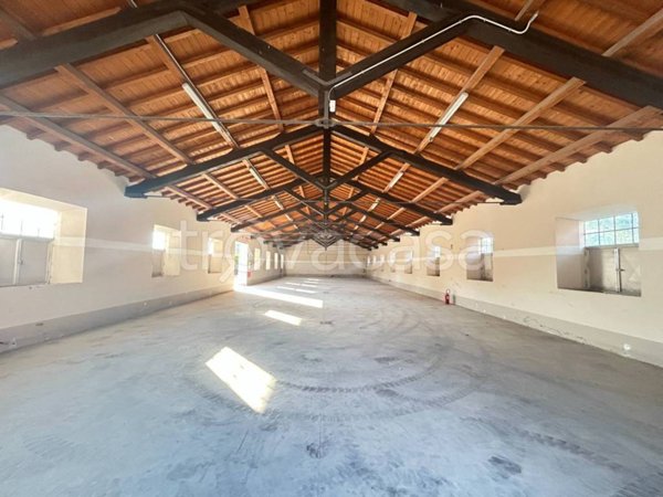 appartamento in affitto a Fiumicino in zona Maccarese