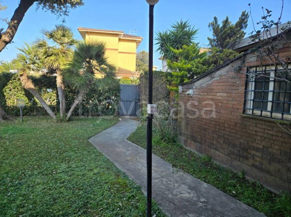 casa indipendente in affitto a Fiumicino in zona Fregene
